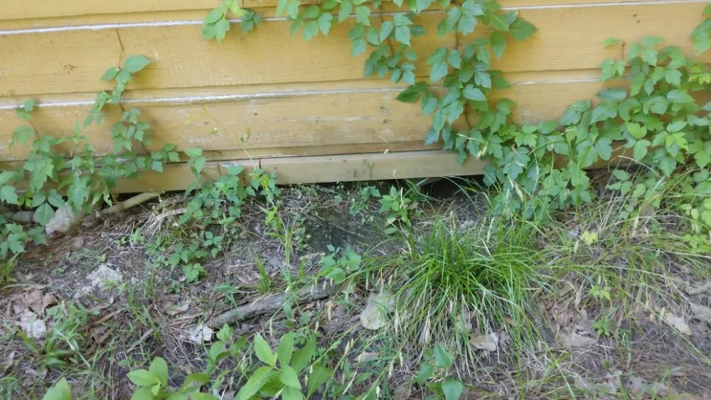 Local residential landscaping in Huntsville, TX by Double D Landscaping Services & More