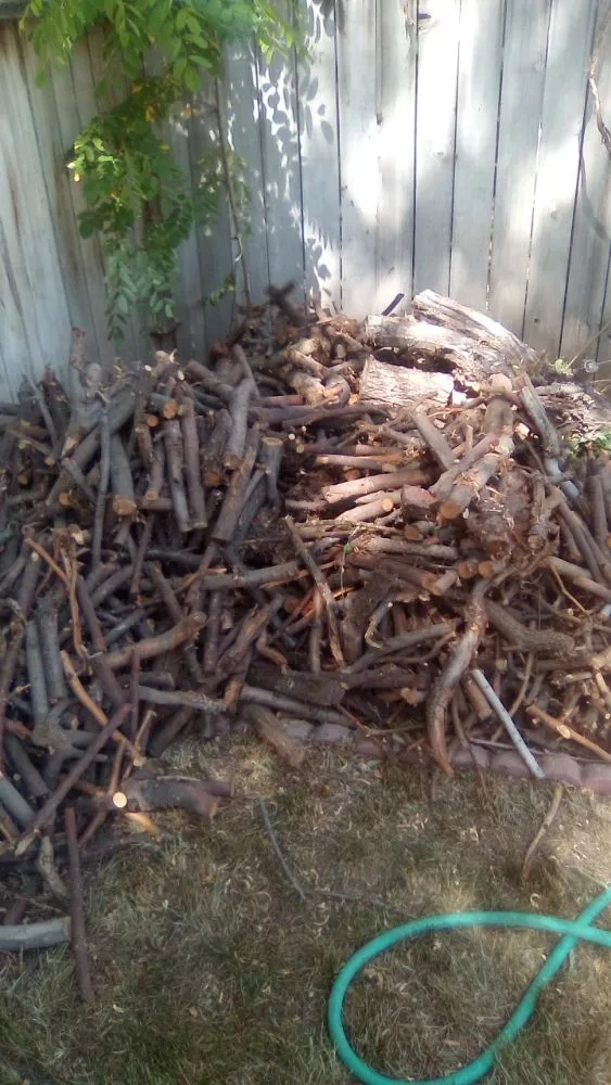 Expert lawn care service experts serving Reno, NV - Double D Lawn Service And Small Engine Repair