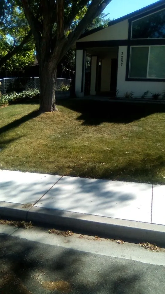 Professional lawn mowing service in Reno, NV - Double D Lawn Service And Small Engine Repair