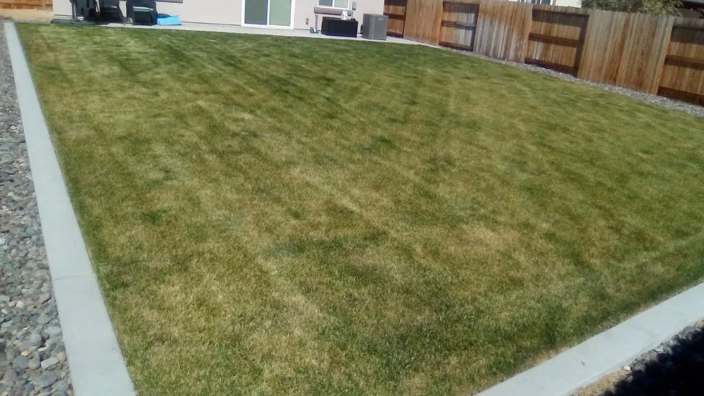 Local landscape installation in Reno, NV - Double D Lawn Service And Small Engine Repair
