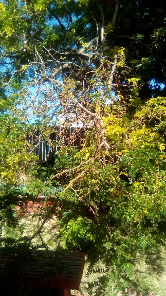 Custom landscape installation in Reno, NV - Double D Lawn Service And Small Engine Repair