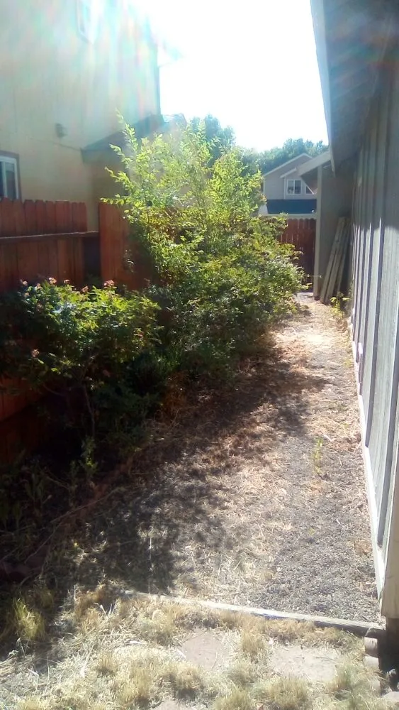 Custom lawn mowing service with custom design across Reno, NV - Double D Lawn Service And Small Engine Repair