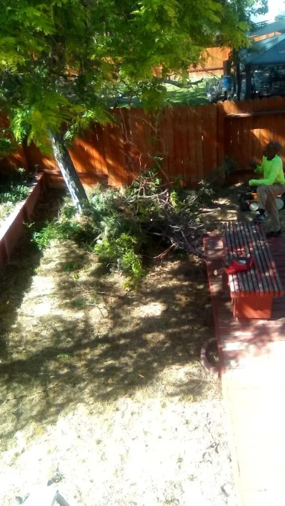 Trusted yard maintenance experts serving Reno, NV - Double D Lawn Service And Small Engine Repair