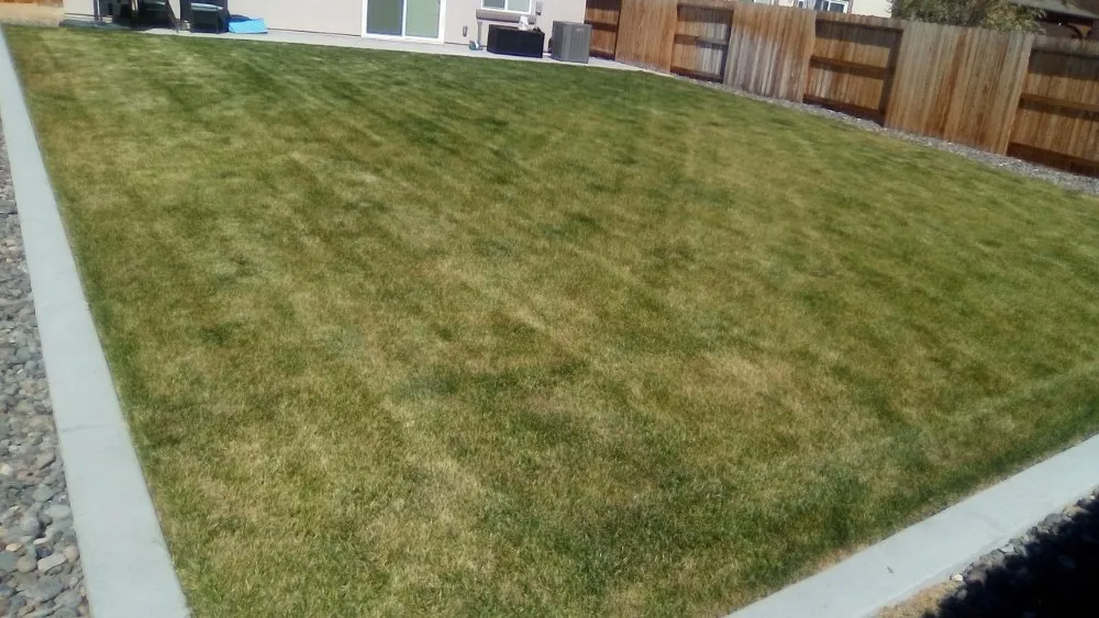 Professional outdoor landscaping for residential properties in Reno, NV by Double D Lawn Service And Small Engine Repair