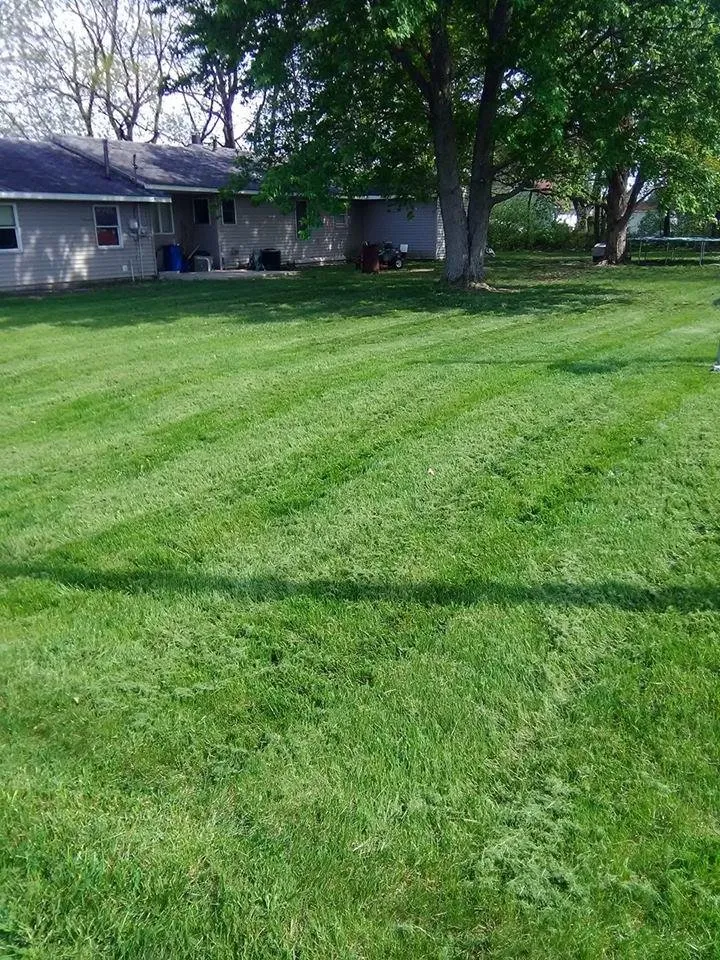Professional landscaping services in Danville, IL by Double D Mowing & Lawncare