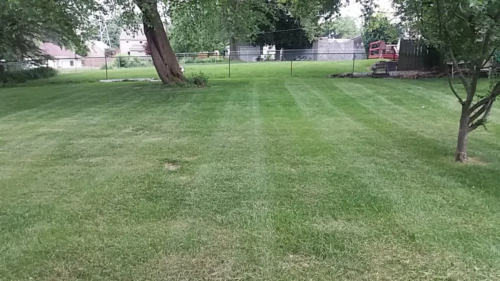 Top-rated yard cleanup service for beautiful yards in Rockford, IL by Double D's Lawn Mowing Service