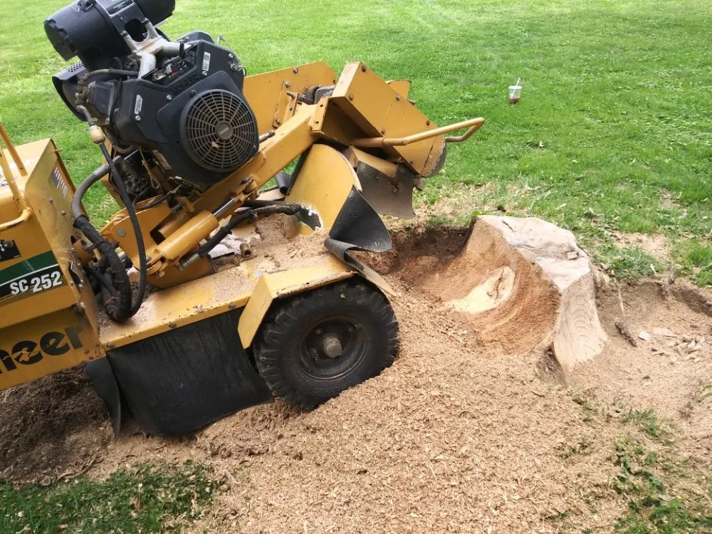 Local landscape design in Reynoldsburg, OH - Double D's Stump Grinding & Removal
