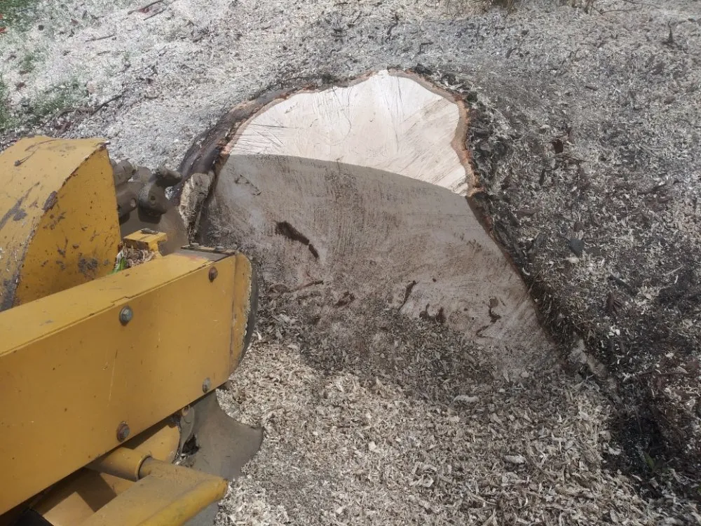 Reliable landscape installation for beautiful yards in Reynoldsburg, OH by Double D's Stump Grinding & Removal