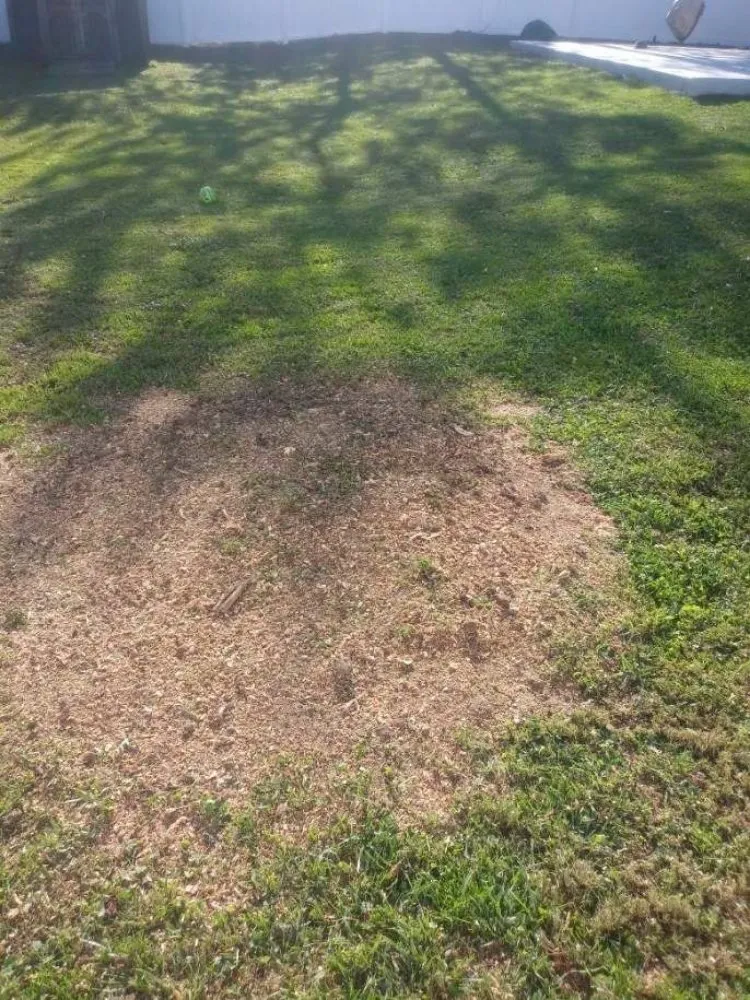 Expert residential landscaping for residential properties across Reynoldsburg, OH - Double D's Stump Grinding & Removal