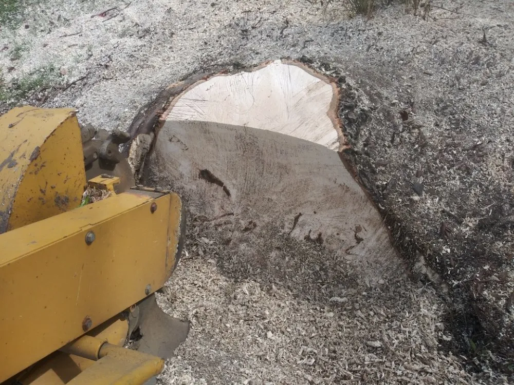 Affordable residential landscaping in Reynoldsburg, OH by Double D's Stump Grinding & Removal