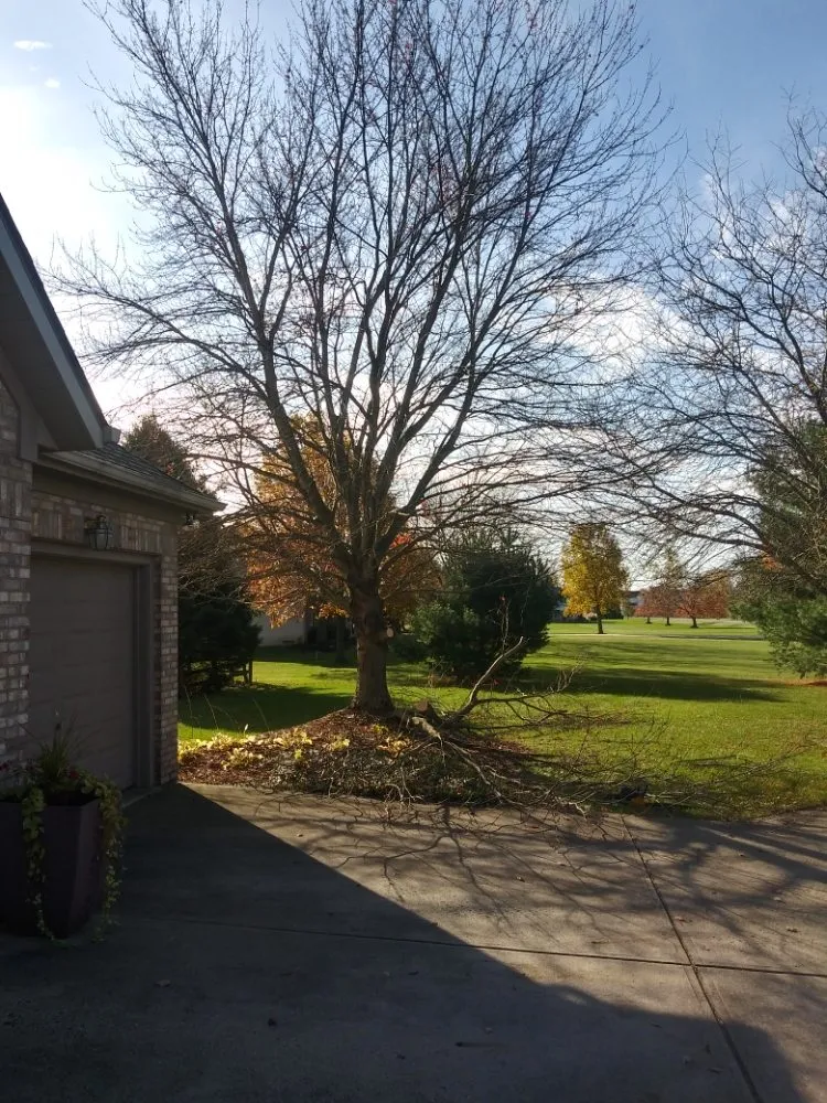 Expert yard cleanup service in Reynoldsburg, OH - Double D's Stump Grinding & Removal