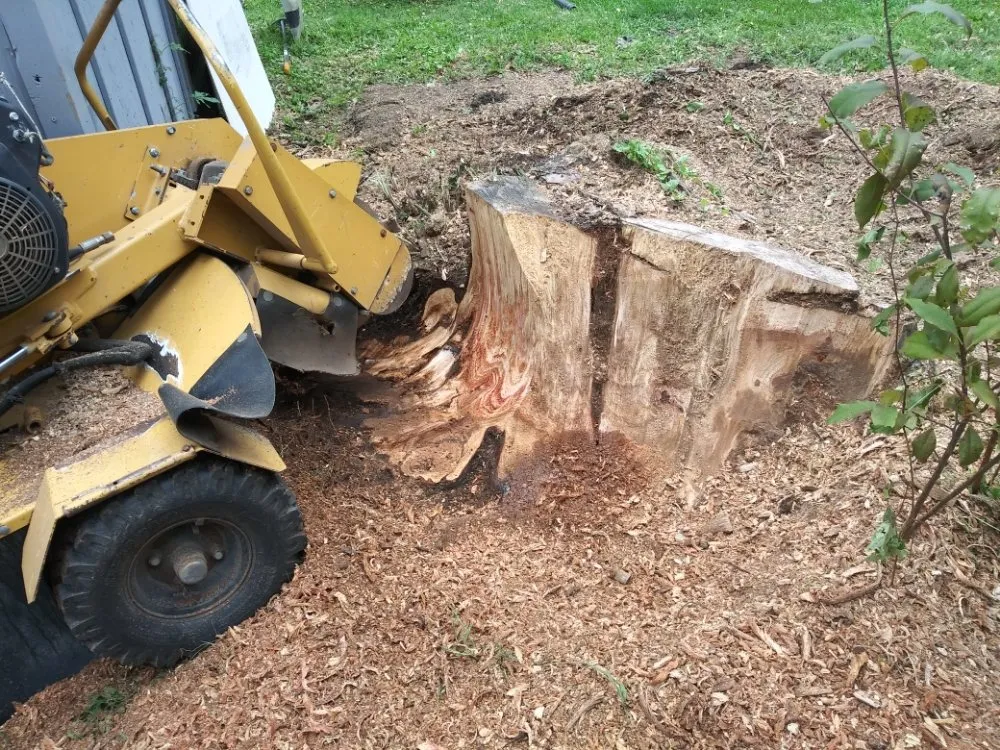 Local landscaping services in Reynoldsburg, OH by Double D's Stump Grinding & Removal