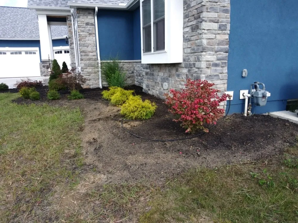 Professional yard cleanup service in Reynoldsburg, OH - Double D's Stump Grinding & Removal