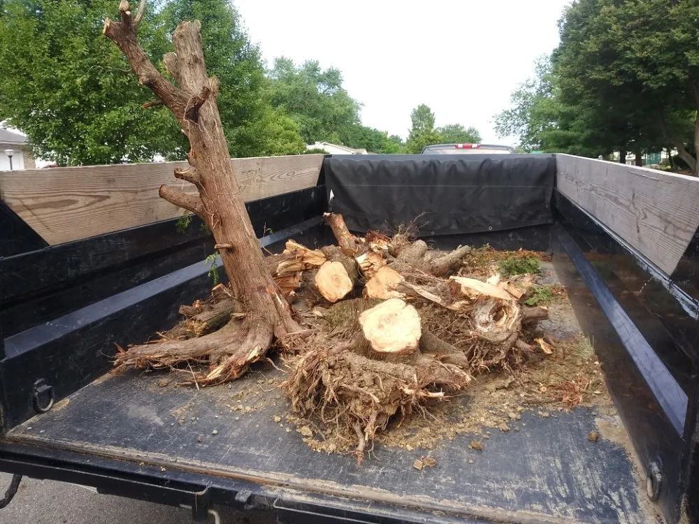 Custom lawn care service experts serving Reynoldsburg, OH - Double D's Stump Grinding & Removal