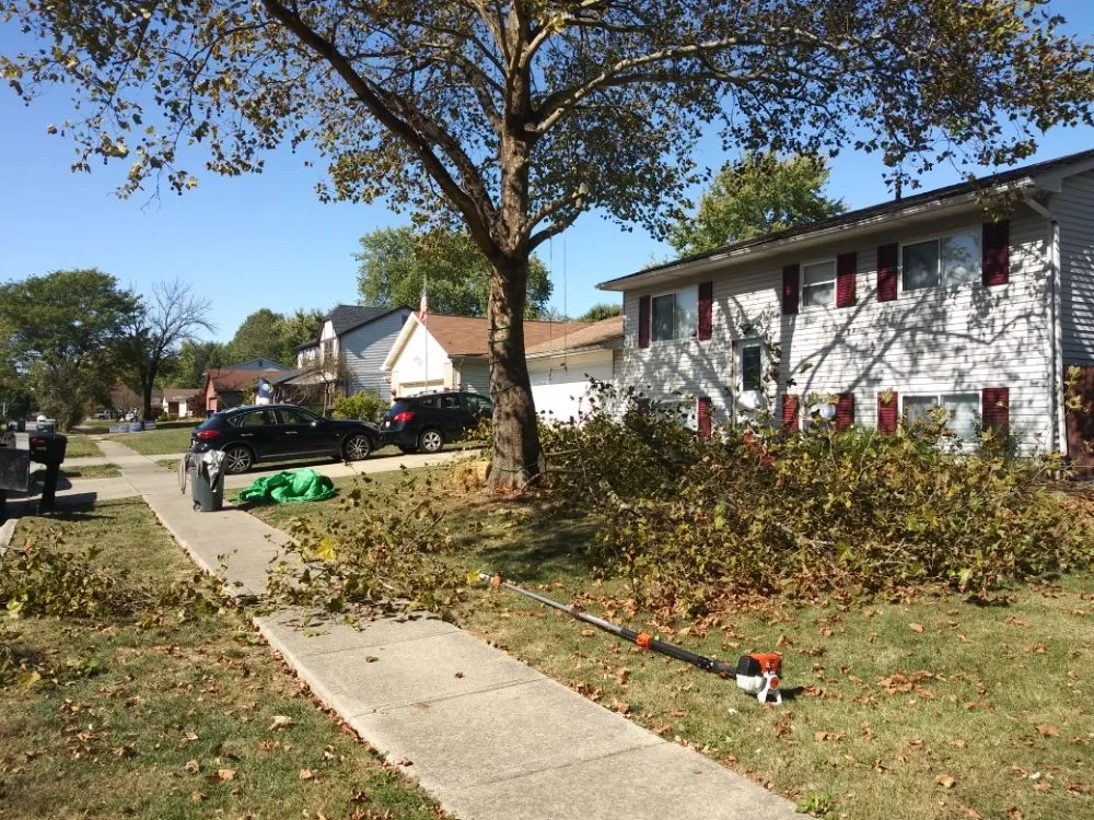 Top-rated landscape installation in Reynoldsburg, OH by Double D's Stump Grinding & Removal