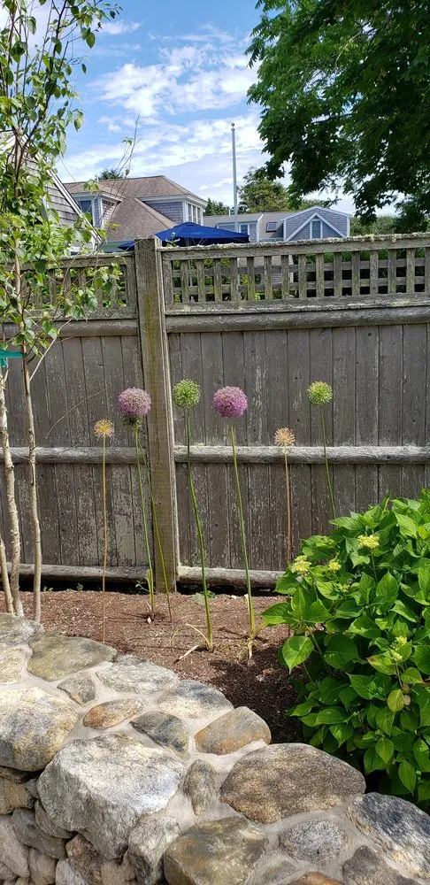 Affordable yard cleanup service in South Dennis, MA by Double Dutch Landscaping