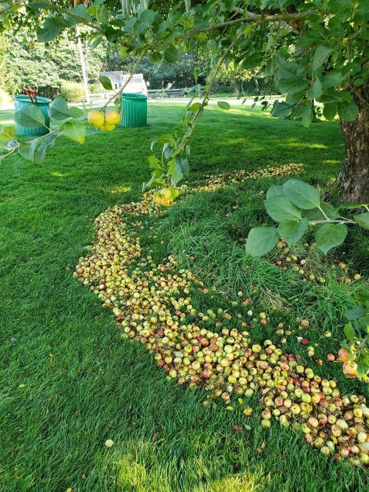 Reliable landscape design for year-round maintenance across South Dennis, MA - Double Dutch Landscaping