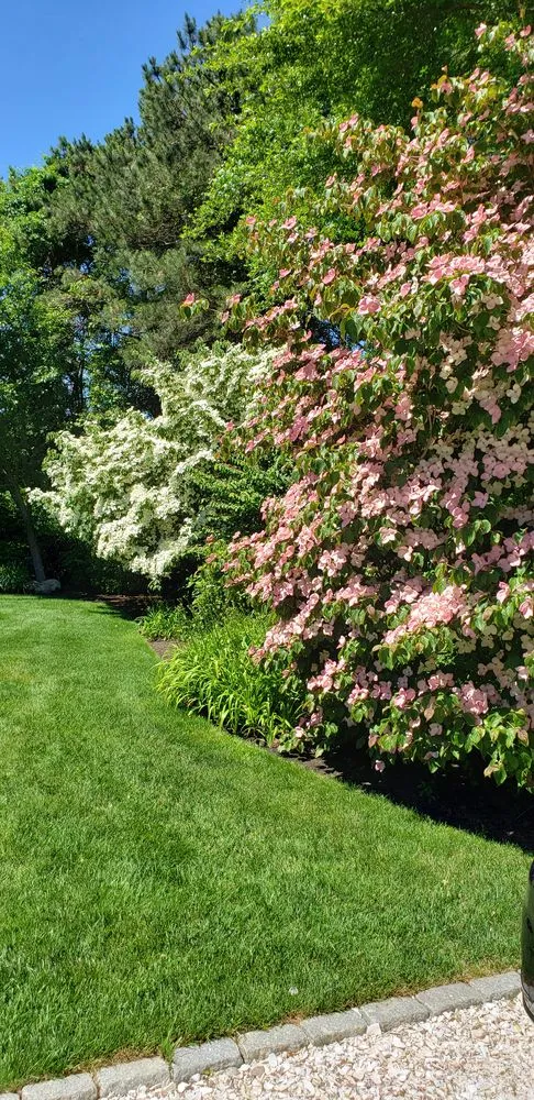 Professional landscape design in South Dennis, MA by Double Dutch Landscaping