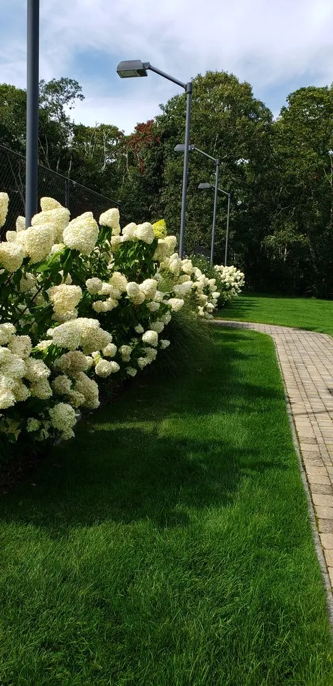 Reliable lawn care service for year-round maintenance across South Dennis, MA - Double Dutch Landscaping