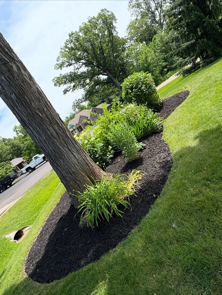 Top-rated yard cleanup service in Rockford, IL - Double Duty