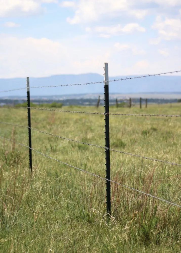 Custom lawn mowing service for outdoor upgrades across Chelsea, OK - Double E Lawncare