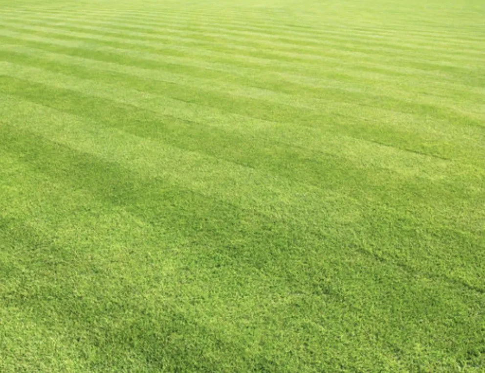 Reliable landscape installation in Chelsea, OK - Double E Lawncare