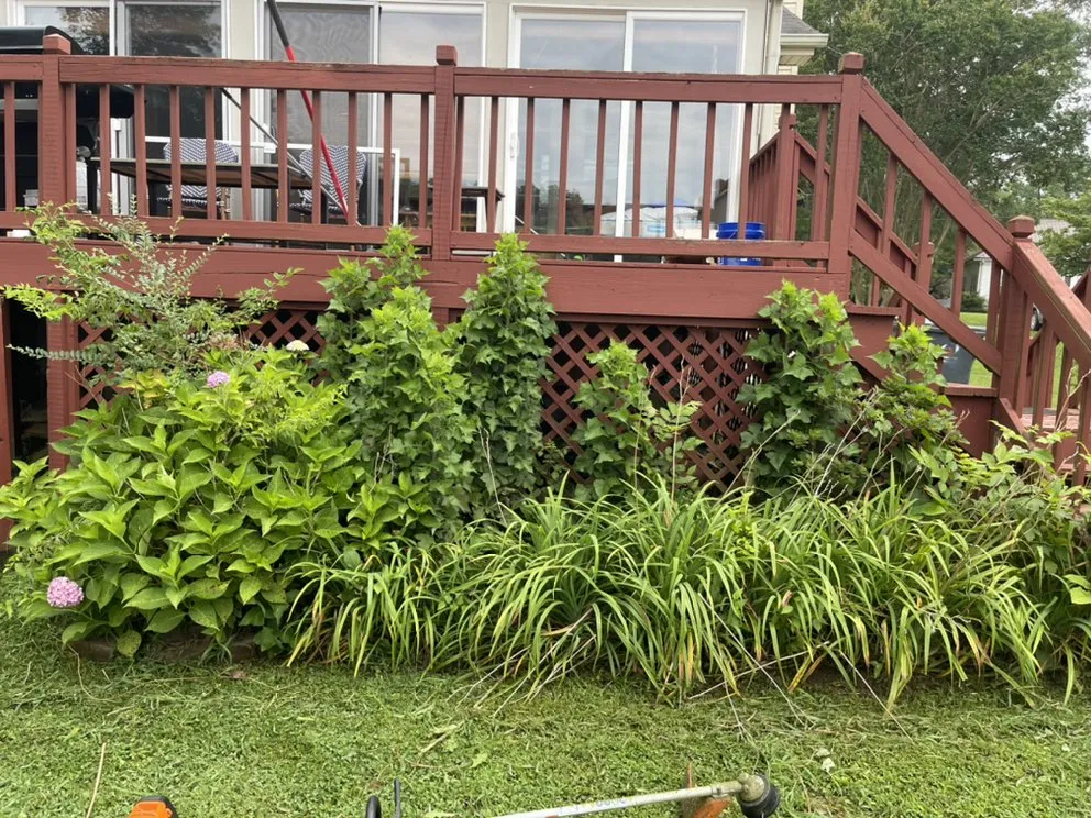 Top-rated yard cleanup service in Pinson, AL - Double F Services