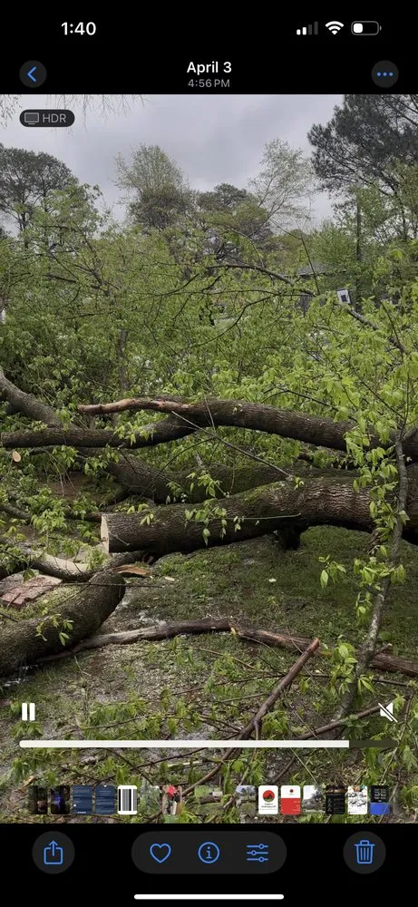 Professional landscape design for beautiful yards across Memphis, TN - Double G Landscaping