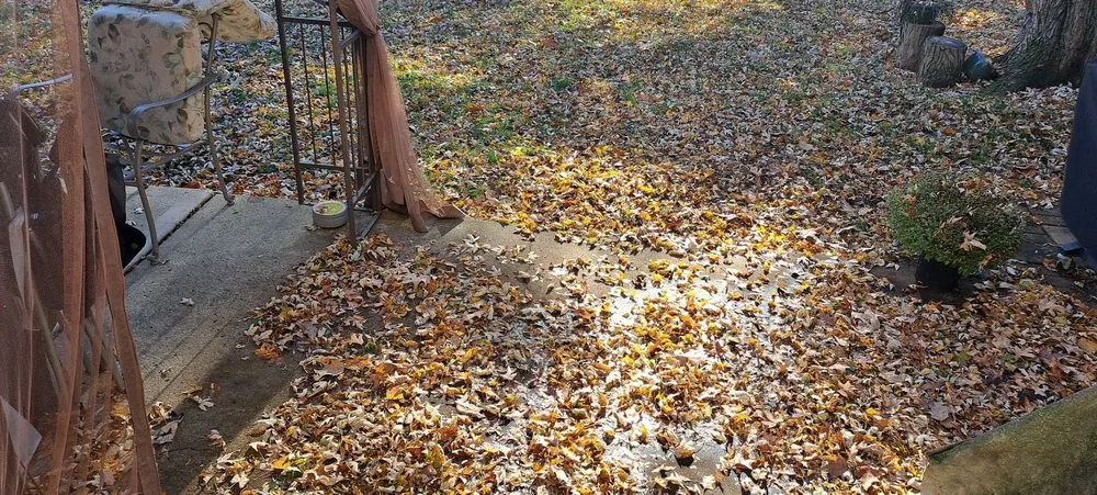 Affordable yard maintenance in Columbus, OH - Double G Lawn Care