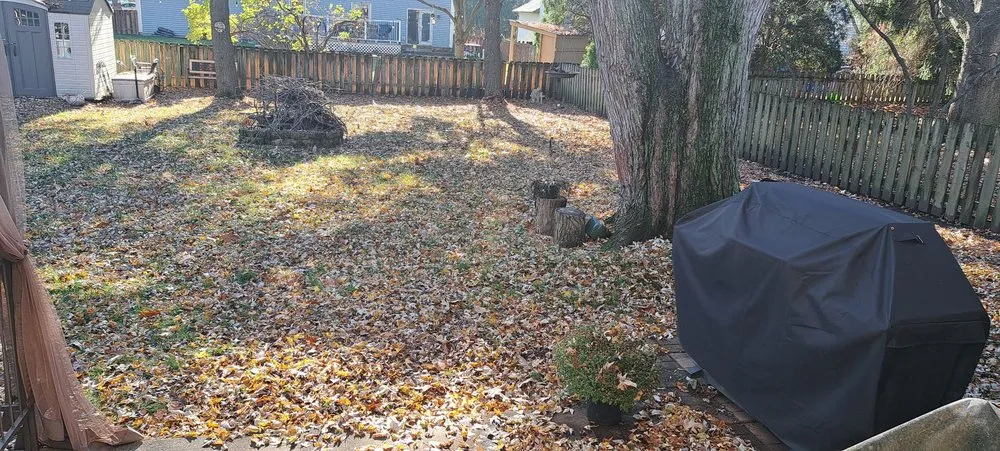 Reliable lawn care service in Columbus, OH by Double G Lawn Care