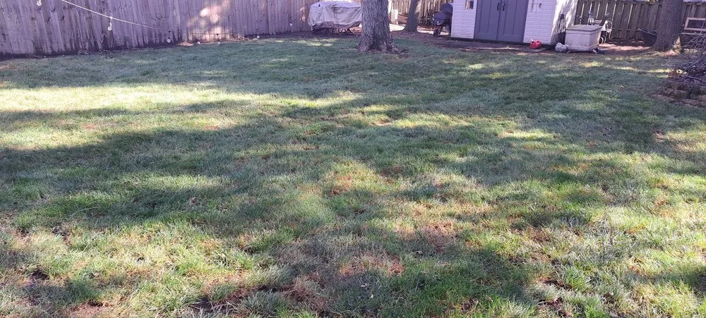 Reliable landscape design for beautiful yards in Columbus, OH by Double G Lawn Care