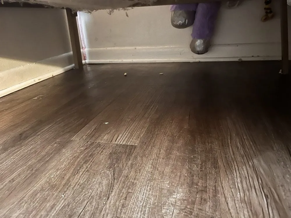 Custom lawn care service in Centreville, MI by Double Glow Cleaning