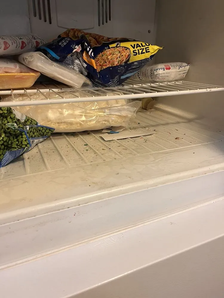 Reliable yard cleanup service in Centreville, MI by Double Glow Cleaning