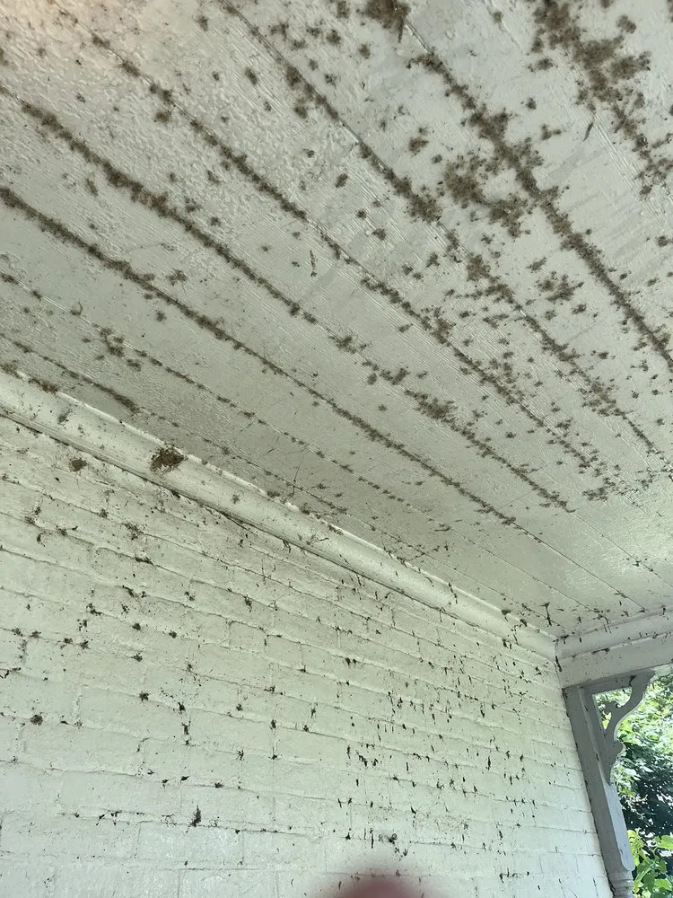 Expert landscape installation in Centreville, MI - Double Glow Cleaning