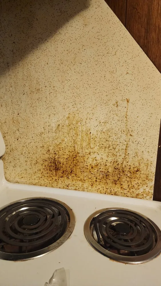 Top-rated lawn mowing service for residential properties across Centreville, MI - Double Glow Cleaning