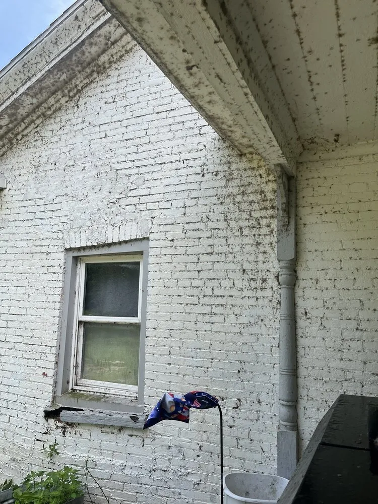 Expert lawn care service in Centreville, MI by Double Glow Cleaning