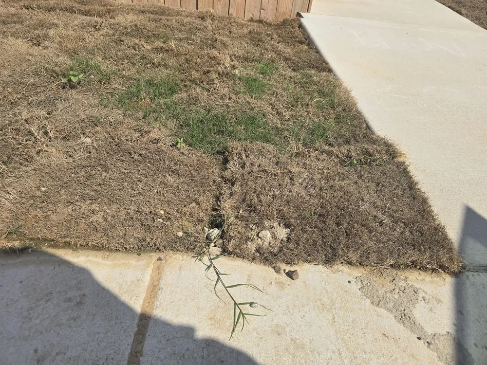 Professional residential landscaping experts serving La Coste, TX - Double H Landscape