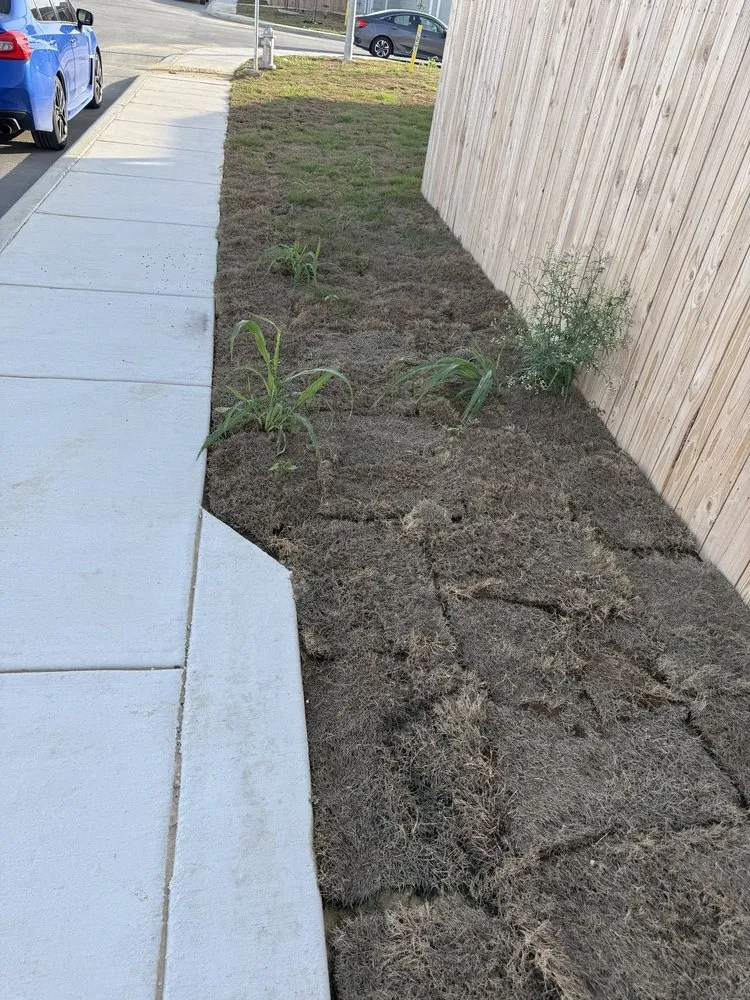 Professional yard maintenance for year-round maintenance across La Coste, TX - Double H Landscape