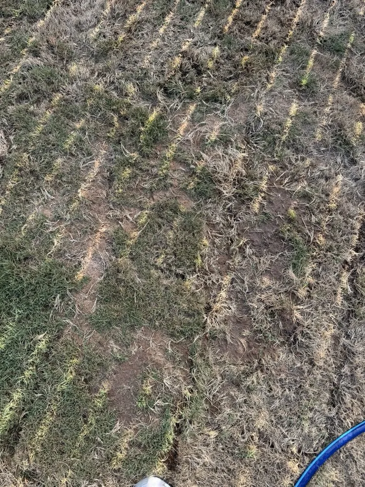 Affordable garden landscaping with custom design in La Coste, TX by Double H Landscape