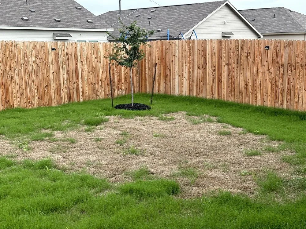 Professional landscaping services in La Coste, TX - Double H Landscape