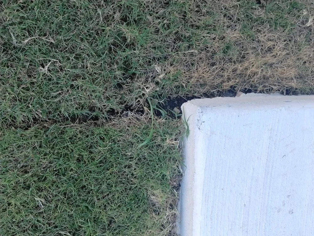 Local lawn care service for homes across La Coste, TX - Double H Landscape