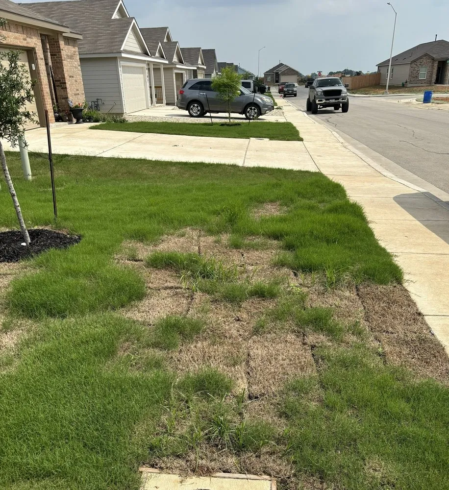 Custom yard cleanup service in La Coste, TX - Double H Landscape