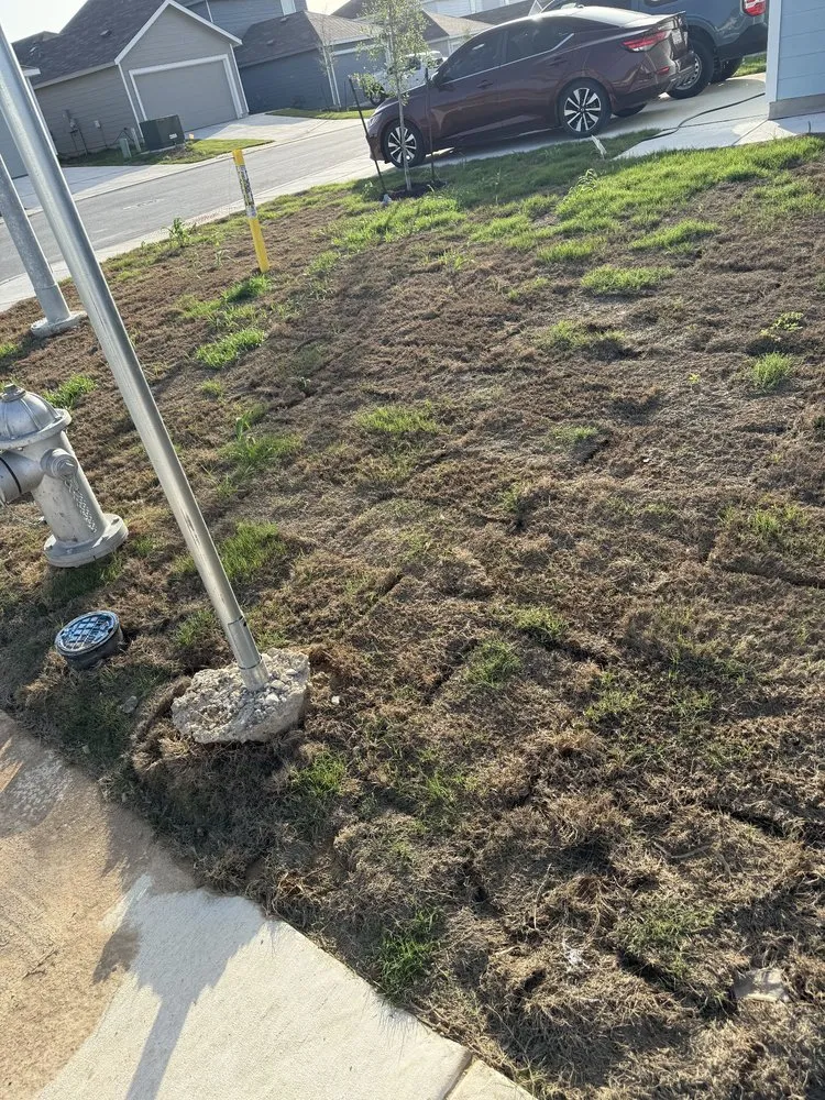 Affordable landscaping services in La Coste, TX - Double H Landscape