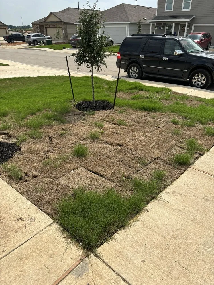 Local yard cleanup service in La Coste, TX by Double H Landscape