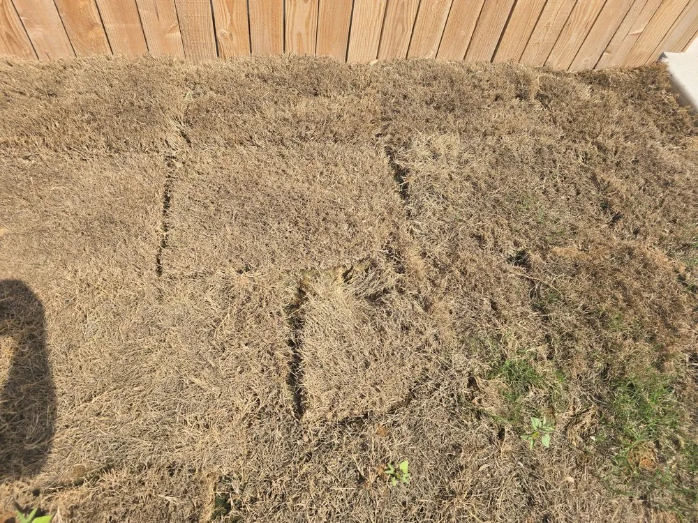 Expert landscaping services for homes across La Coste, TX - Double H Landscape