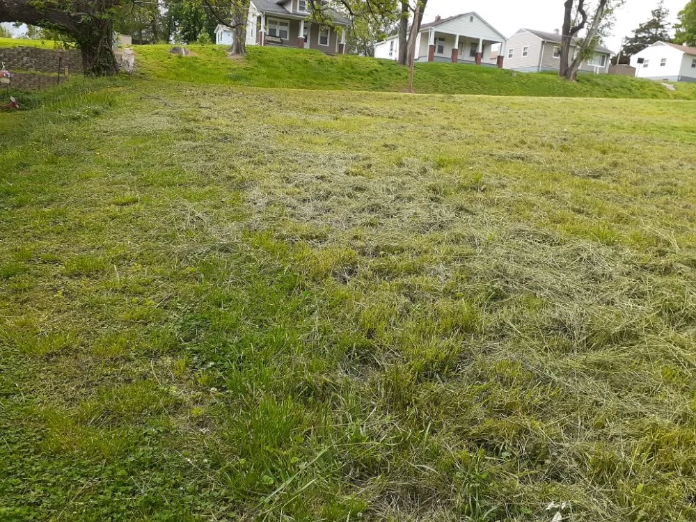 Affordable yard cleanup service in Saint Joseph, MO - Double H Lawncare