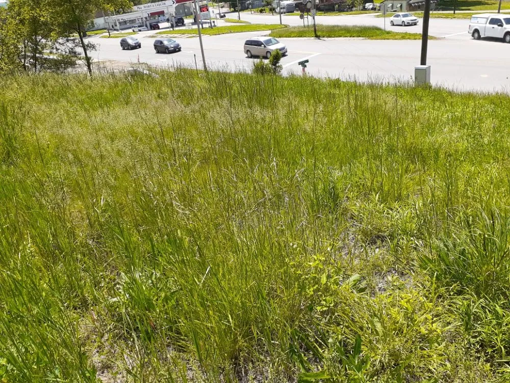 Professional yard maintenance experts serving Saint Joseph, MO - Double H Lawncare
