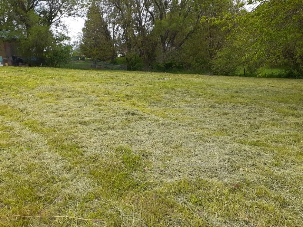 Custom lawn mowing service experts serving Saint Joseph, MO - Double H Lawncare