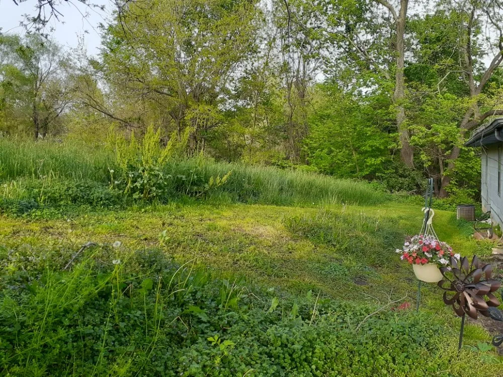 Reliable lawn care service in Saint Joseph, MO by Double H Lawncare