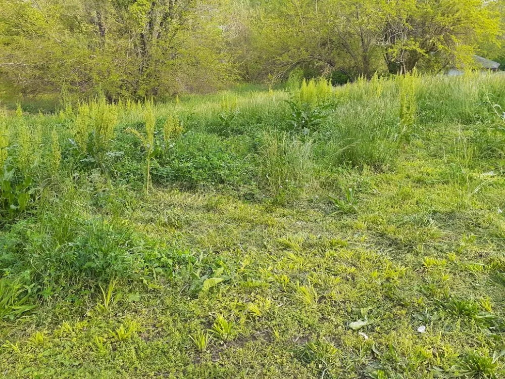 Local residential landscaping with custom design in Saint Joseph, MO by Double H Lawncare